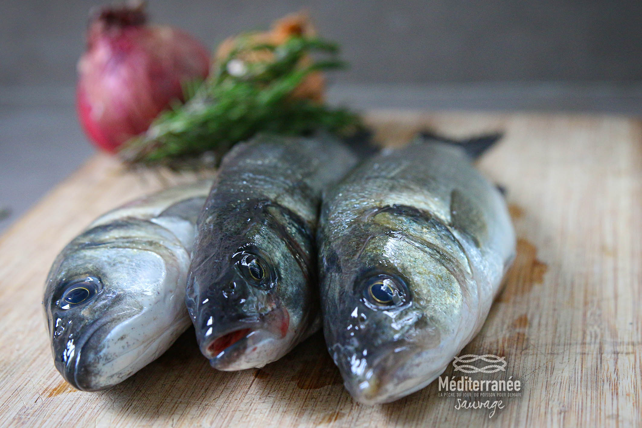 LOUP EN PAPILLOTE à la Verveine